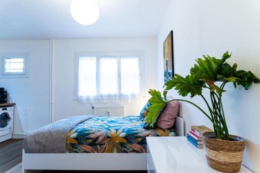 Апартаменти Le Coquet - Balcon - Proche Gare - Parking Бург-ан-Бресс Екстер'єр фото